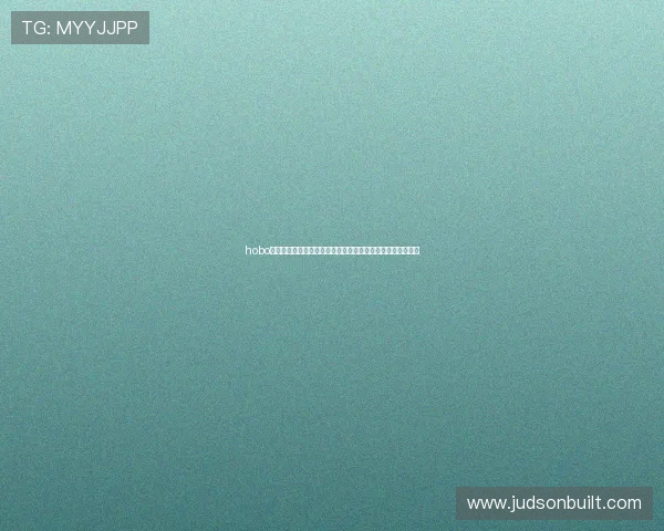 hobo电子狗的使用指南与最新功能介绍帮助玩家提升驾驶安全体验 hobo电子狗的使用指南与最新功能介绍帮助玩家提升驾驶安全体验